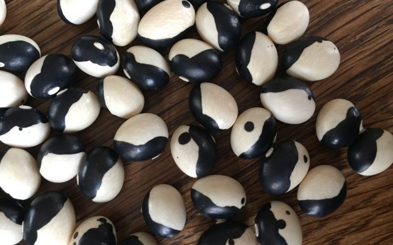 yin yang bonen 1