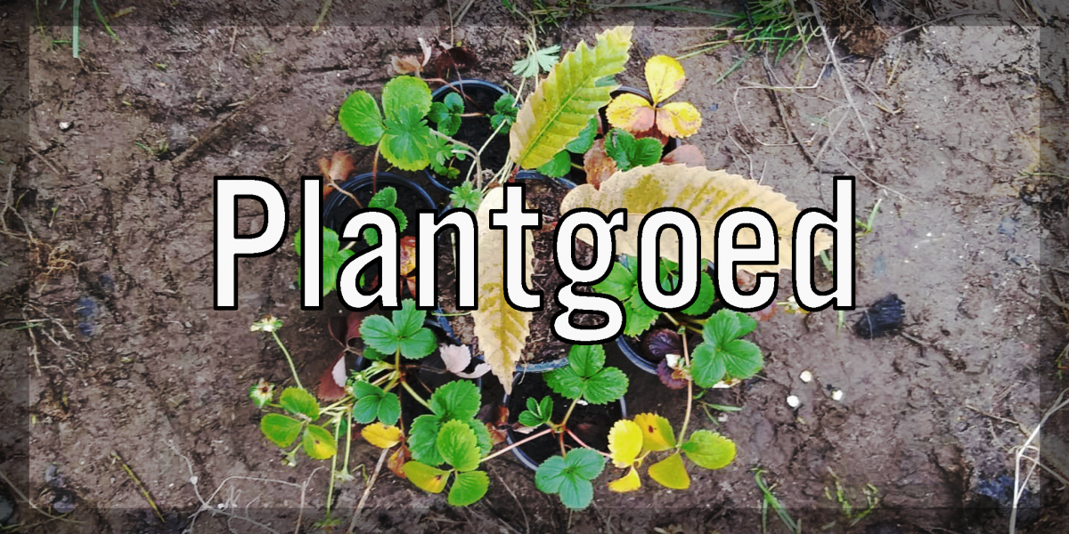 AANBOD plantgoed2