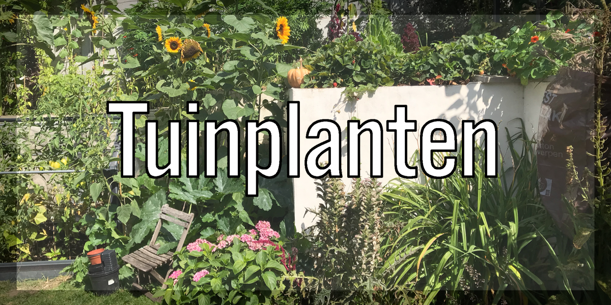 PLANTGOED tuinplanten test