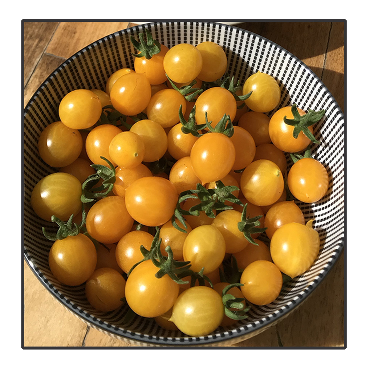 Solanum lycopersicum - Tomaat Millefleurs*	<br>#132